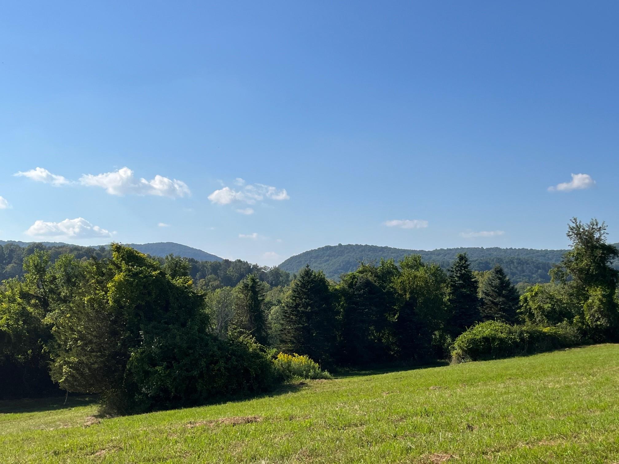 Kent Road Wassaic, NY 12592 - Photo 3 of 11 a view of lake with green space