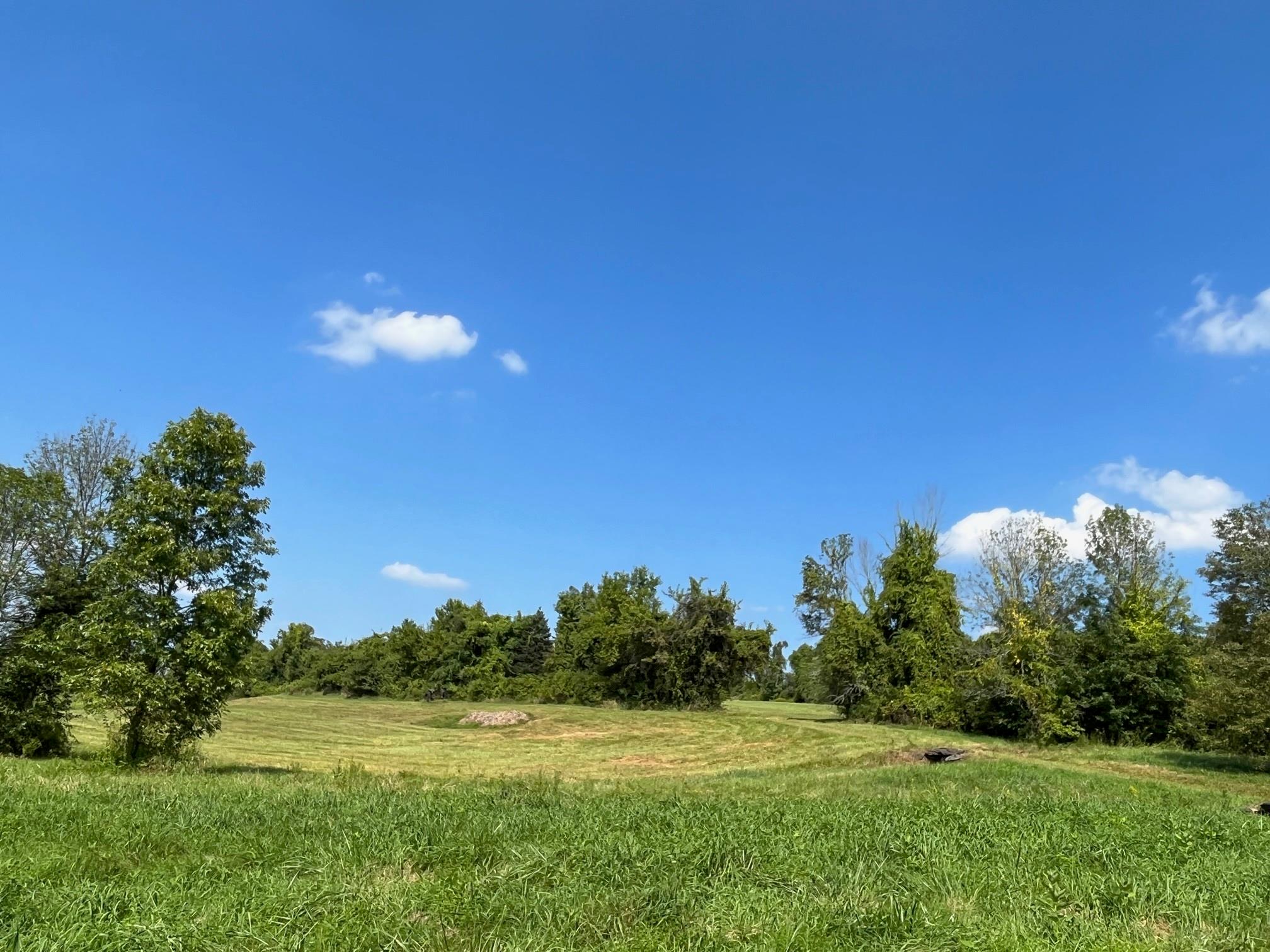 Kent Road Wassaic, NY 12592 - Photo 5 of 11 a view of a big yard