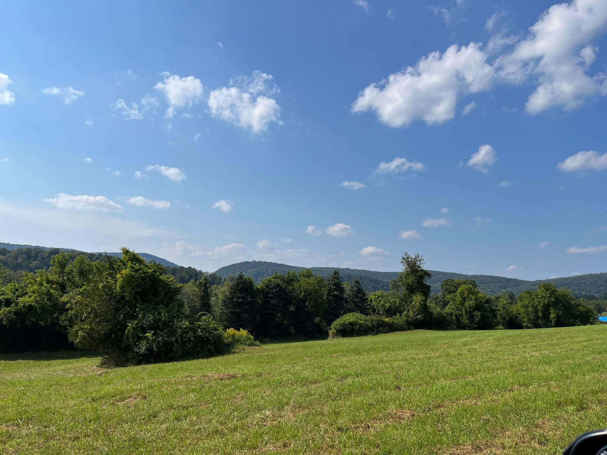 Kent Road Wassaic, NY 12592 - Photo 6 of 11 a view of a big yard with green space