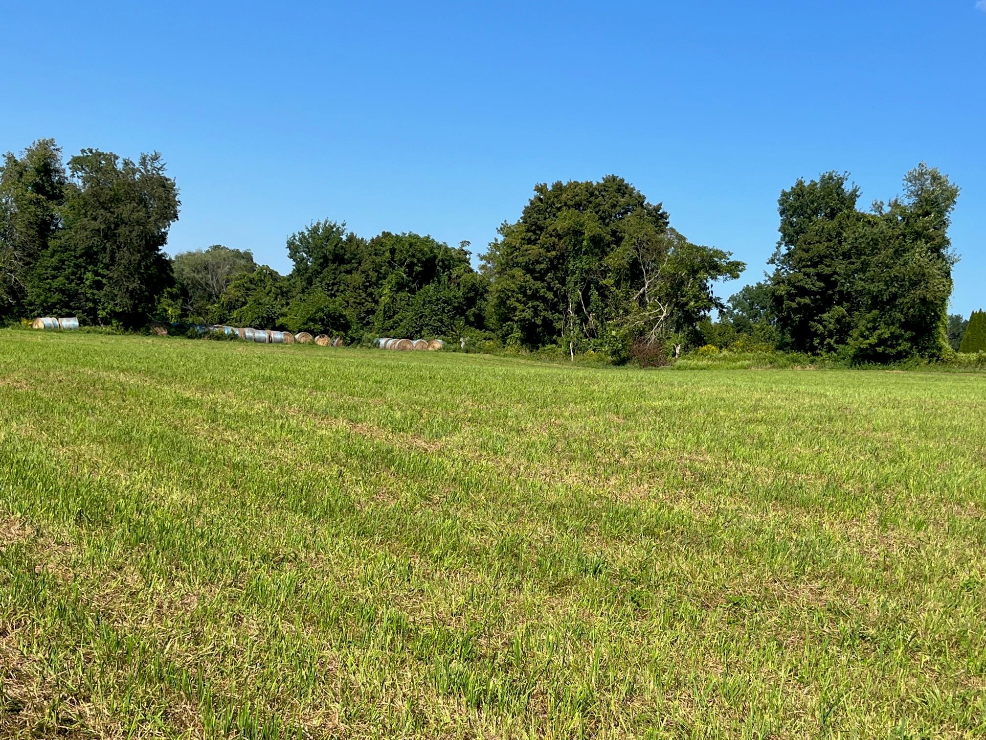 Kent Road Wassaic, NY 12592 - Photo 7 of 11 a view of field with trees in the background