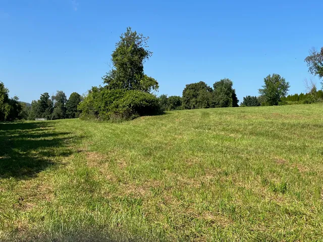 a view of a field with trees in the background