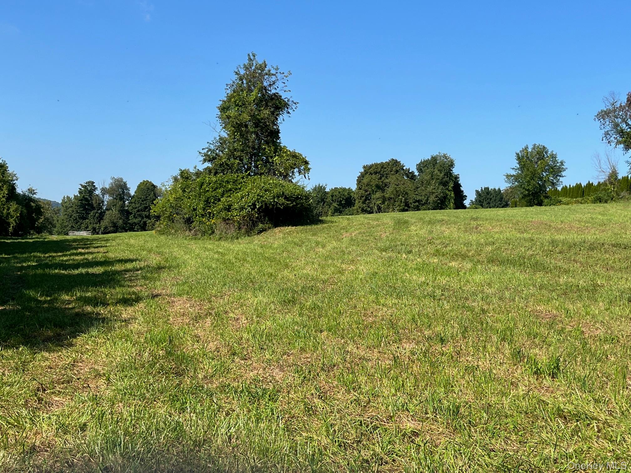 Kent Road Wassaic, NY 12592 - Photo 8 of 11 a view of a field with trees in the background