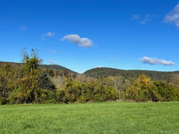a view of a grassy field with mountains in the background