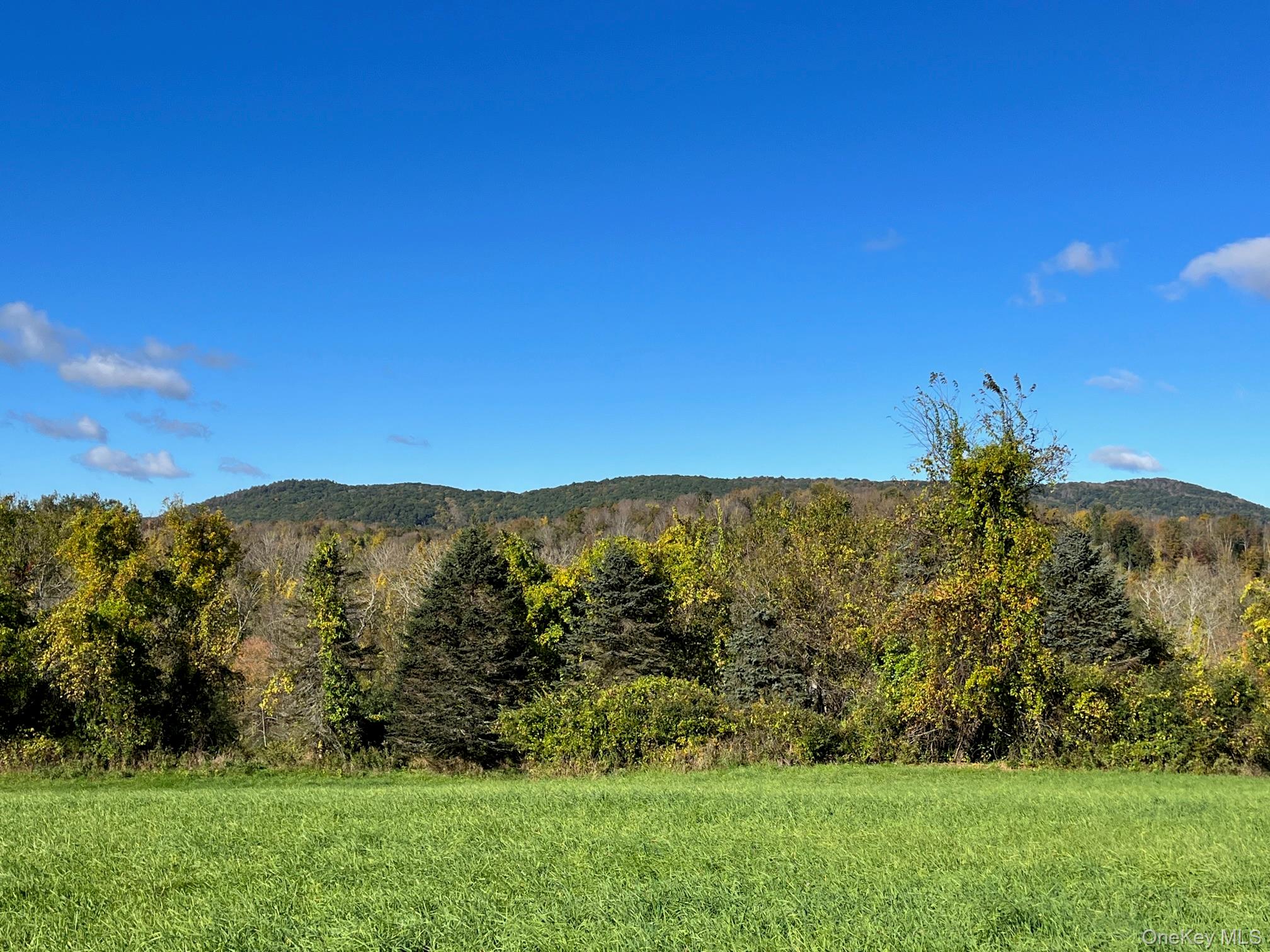 Kent Road Wassaic, NY 12592 - Photo 10 of 11 a view of mountain view with mountain