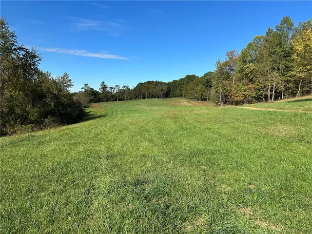 a view of a field of grass and trees