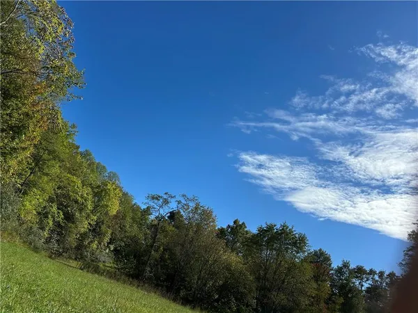 a view of a yard with a house in forest