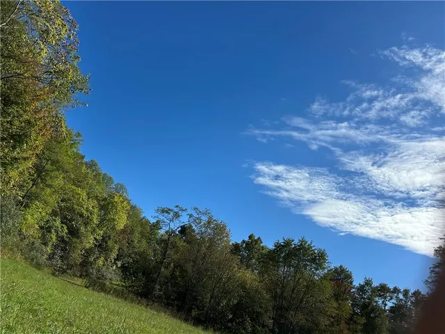 a view of a yard with a house in forest