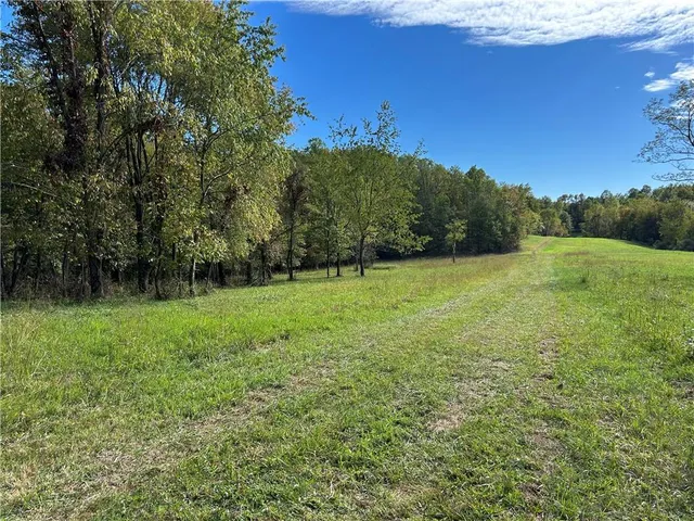 a view of outdoor space with green field and trees
