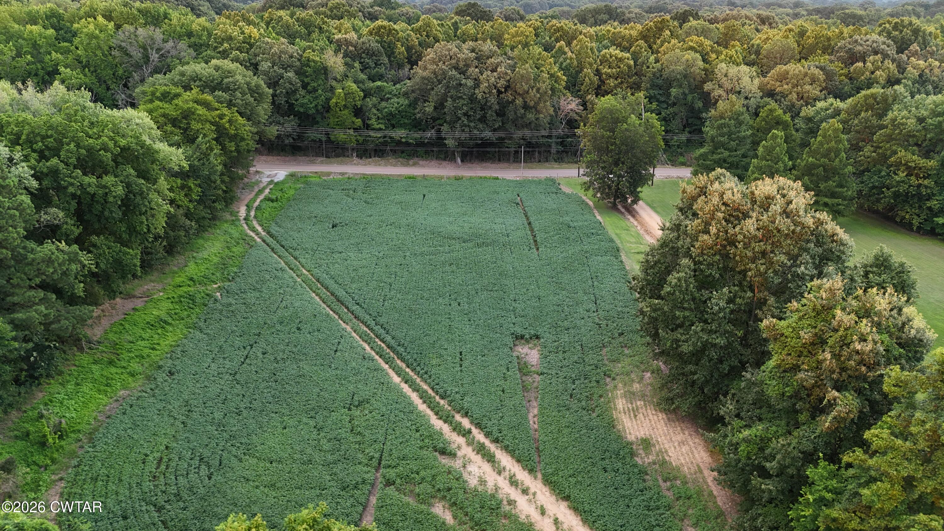 0 Cribbs Road Dyersburg, TN 38024 - Photo 3 of 10 dji_fly_20260701_195822_0940_17829568681