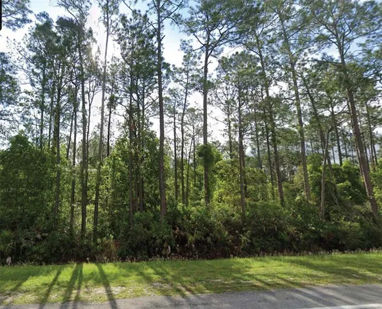 $13,000 | 1501 South State Road 19, Palatka, FL 32177