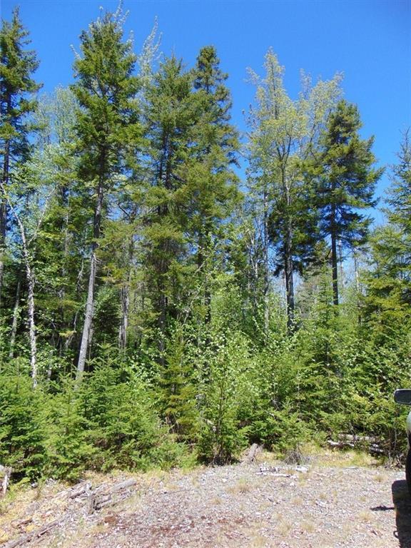 0 Ripley Point Road Harrington, ME 04643 - Photo 27 of 34 Photo