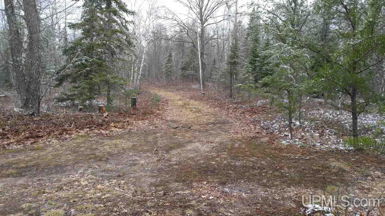 73-acres Co Rd 480 Marquette, MI 49855 - Photo 5 of 18