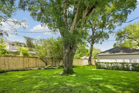 a view of a yard with a large trees