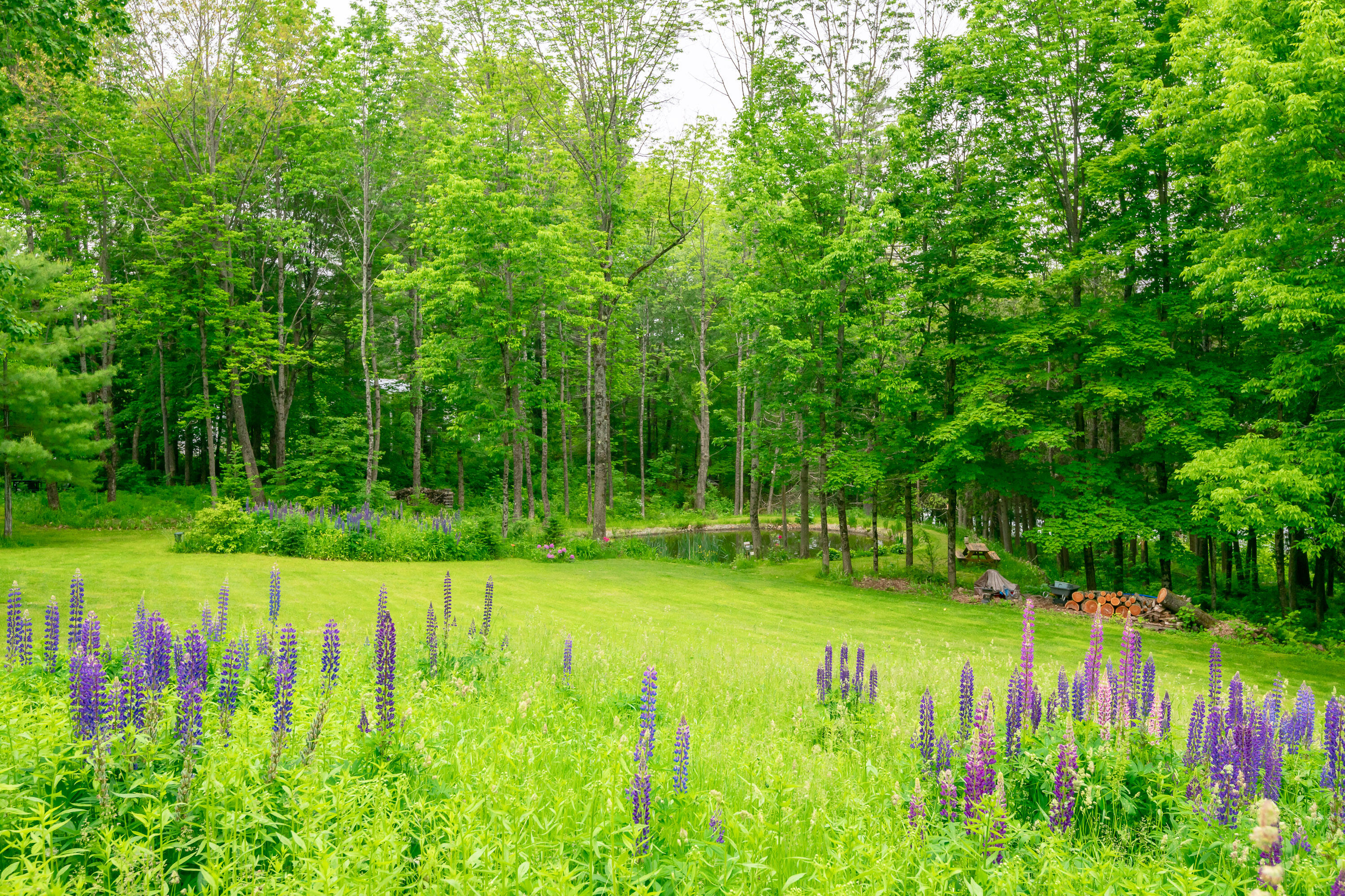 2112 N Road Mount Vernon, ME 04352 - Photo 42 of 49 129_2112 North Rd 2_PGM_Print