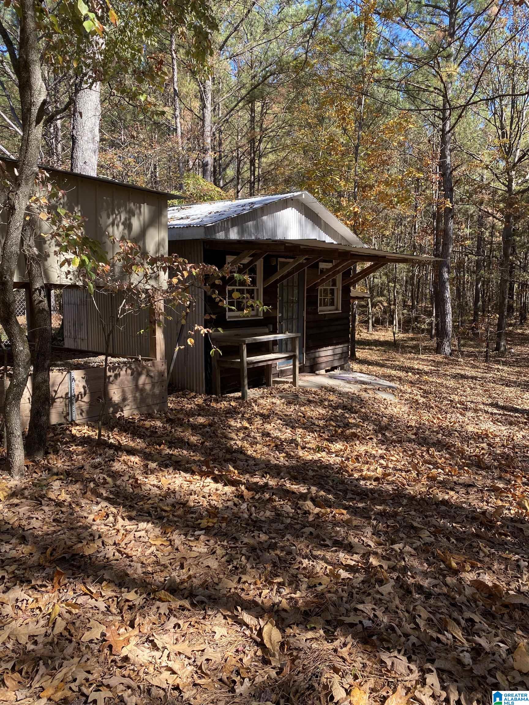 7512 Baby Doe Road Brookwood, AL 35444 - Photo 6 of 29