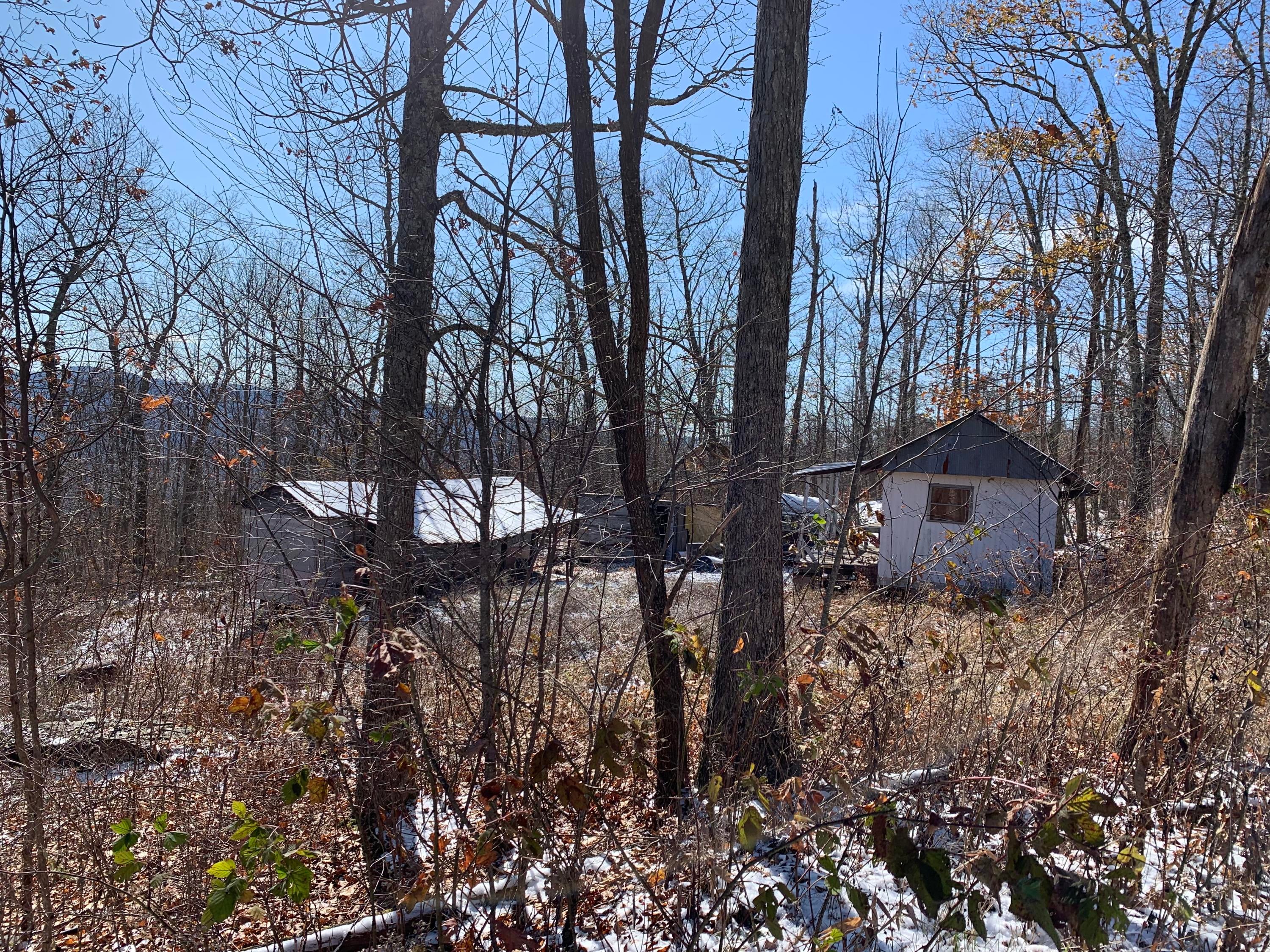 Crowder Road Gap Mills, WV 24941 - Photo 1 of 8 Gallery Image 1