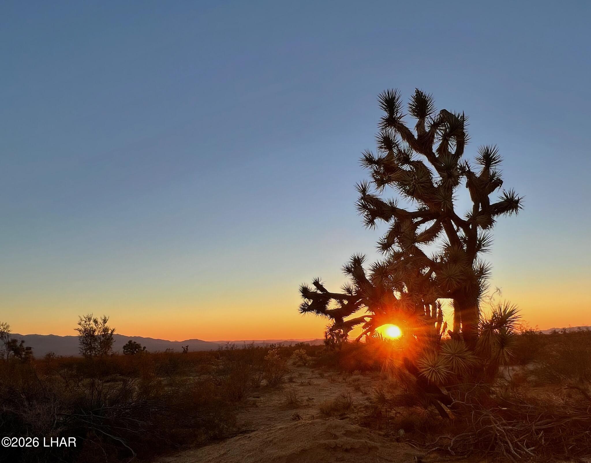 123-08-006 South Gene Autry Road Yucca, AZ 86438 - Photo 15 of 15