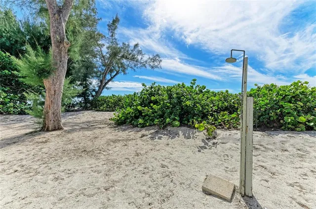 a view of a yard with plants and trees