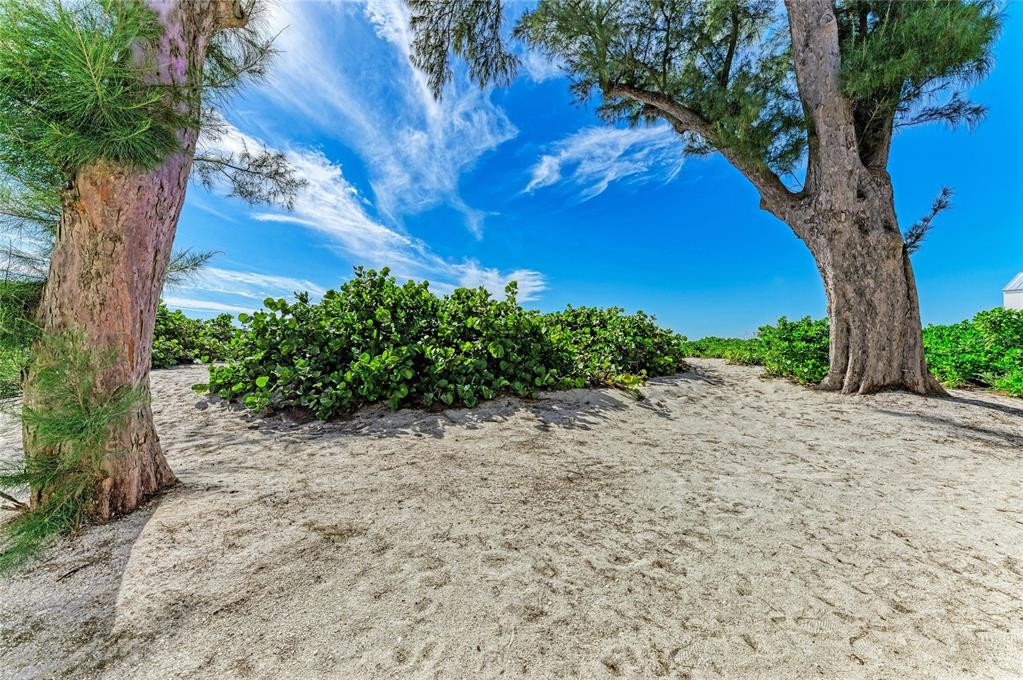 101 73rd Street, Unit 2 Holmes Beach, FL 34217 - Photo 38 of 55 a view of a yard with large tree