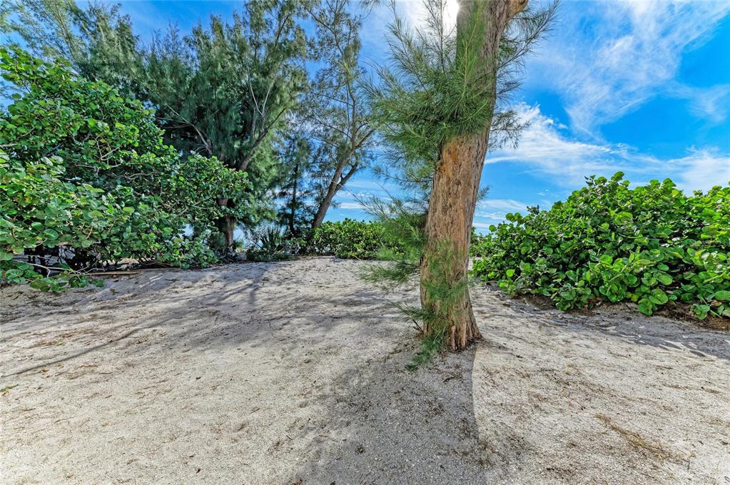 101 73rd Street, Unit 2 Holmes Beach, FL 34217 - Photo 39 of 55 a view of a yard with plants and trees