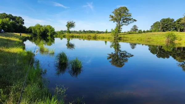 a view of lake