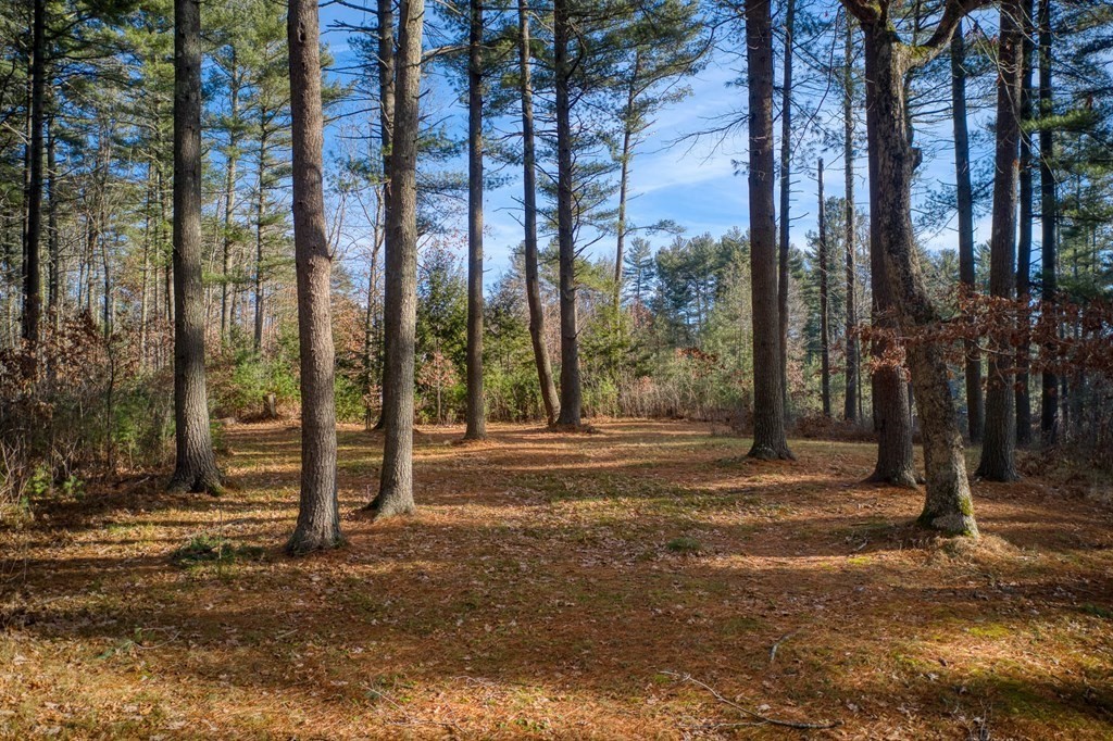 101 Page Brook Road Carlisle, MA 01741 - Photo 34 of 34 Gallery Image 34