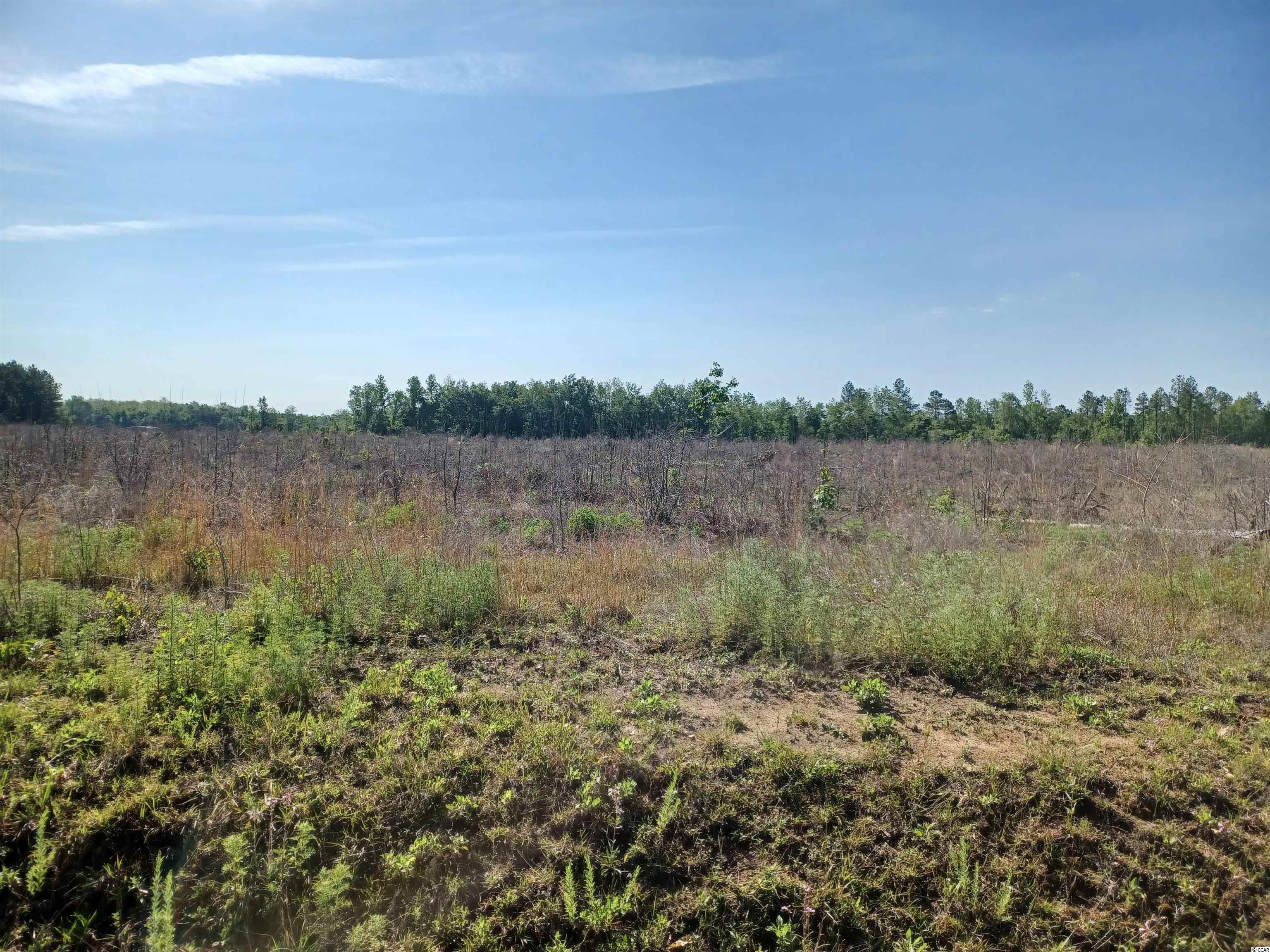 Lot 5 Mw Stroud Road Nichols, SC 29581 - Photo 1 of 2 Gallery Image 1