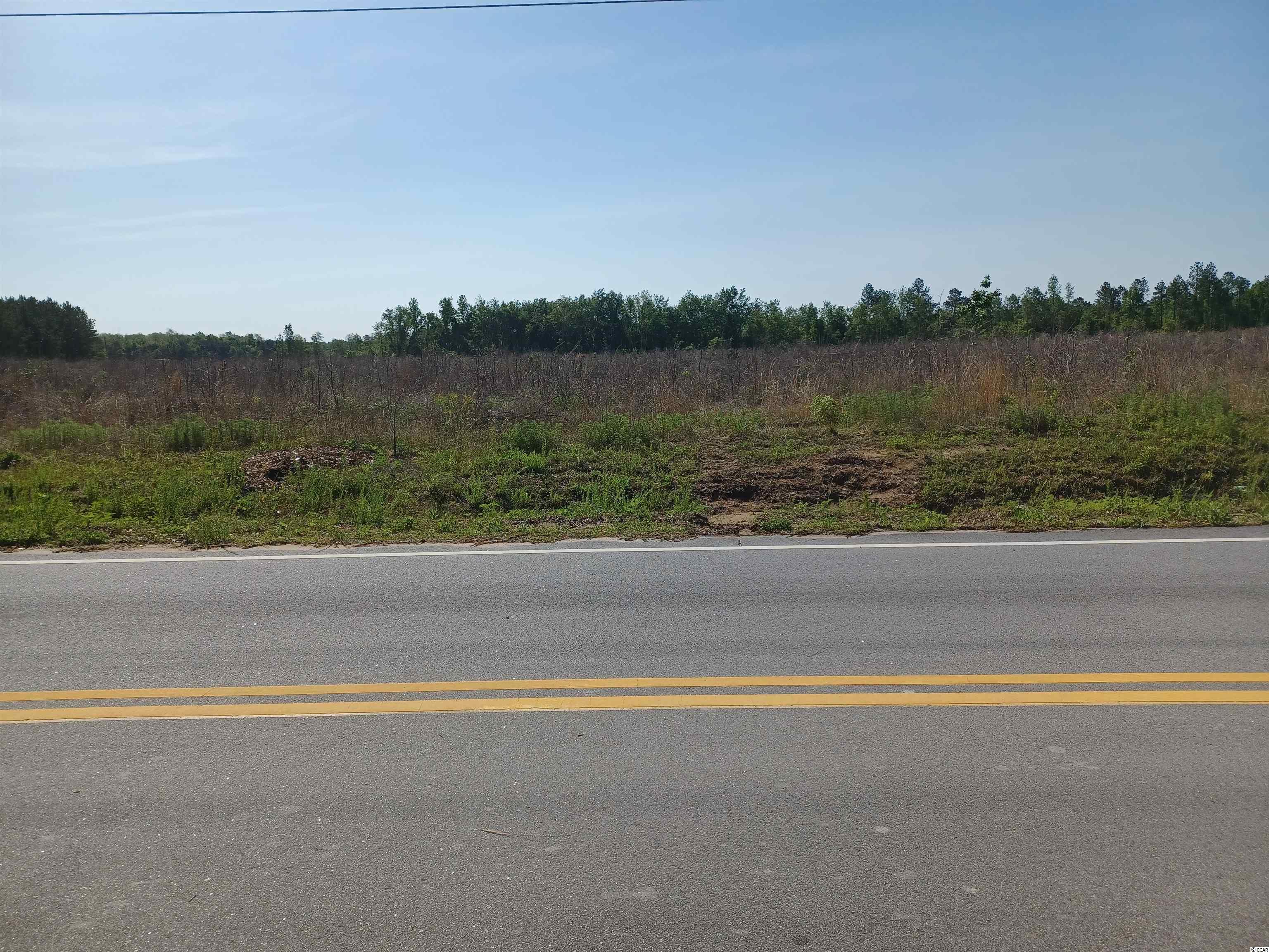 Lot 5 Mw Stroud Road Nichols, SC 29581 - Photo 2 of 2 Gallery Image 2
