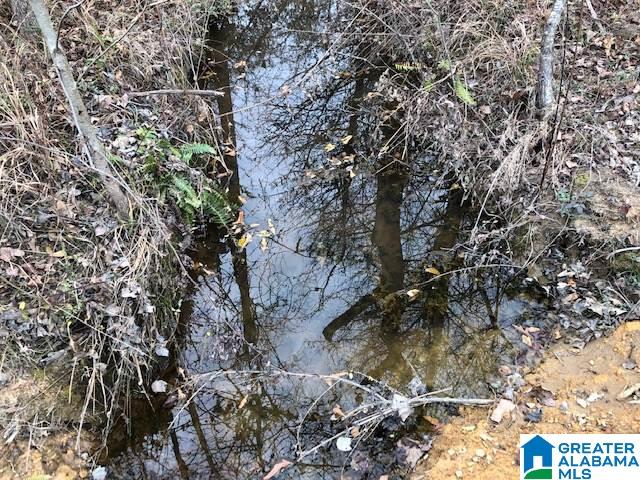 Pine Mountain Road, Unit 2 Springville, AL 35146 - Photo 6 of 16