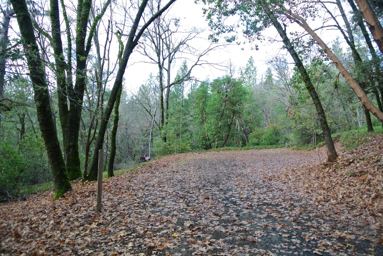 5585 Pine Ridge Road Foresthill, CA 95631 - Photo 12 of 13