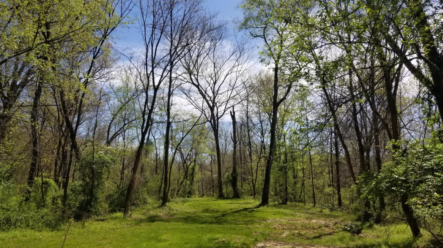 15364 Goodner Road Dillsboro, IN 47018 - Photo 19 of 35 Gallery Image 19