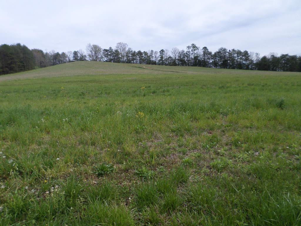 1 Rt 211 Salt Lick, KY 40371 - Photo 4 of 6 Photo 4