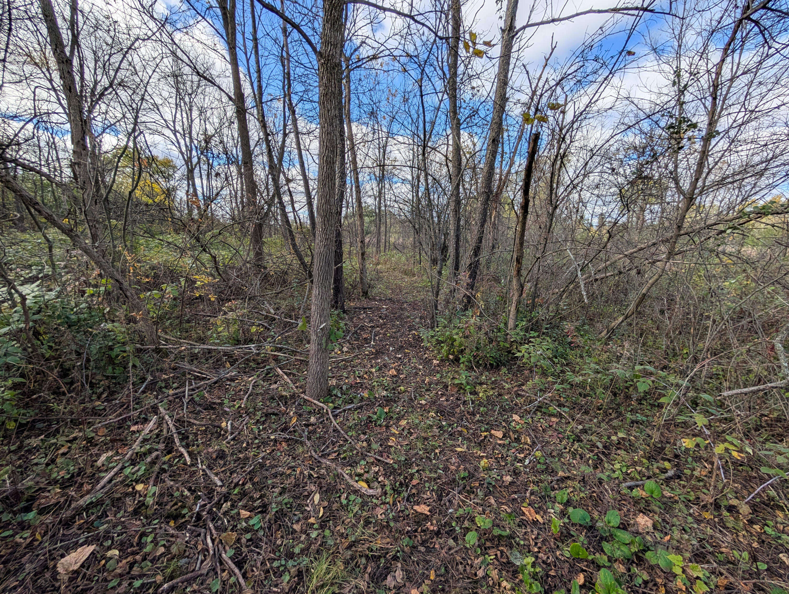 Lt2 West St Martins Road Franklin, WI 53132 - Photo 29 of 29 PXL_20251023_171430081