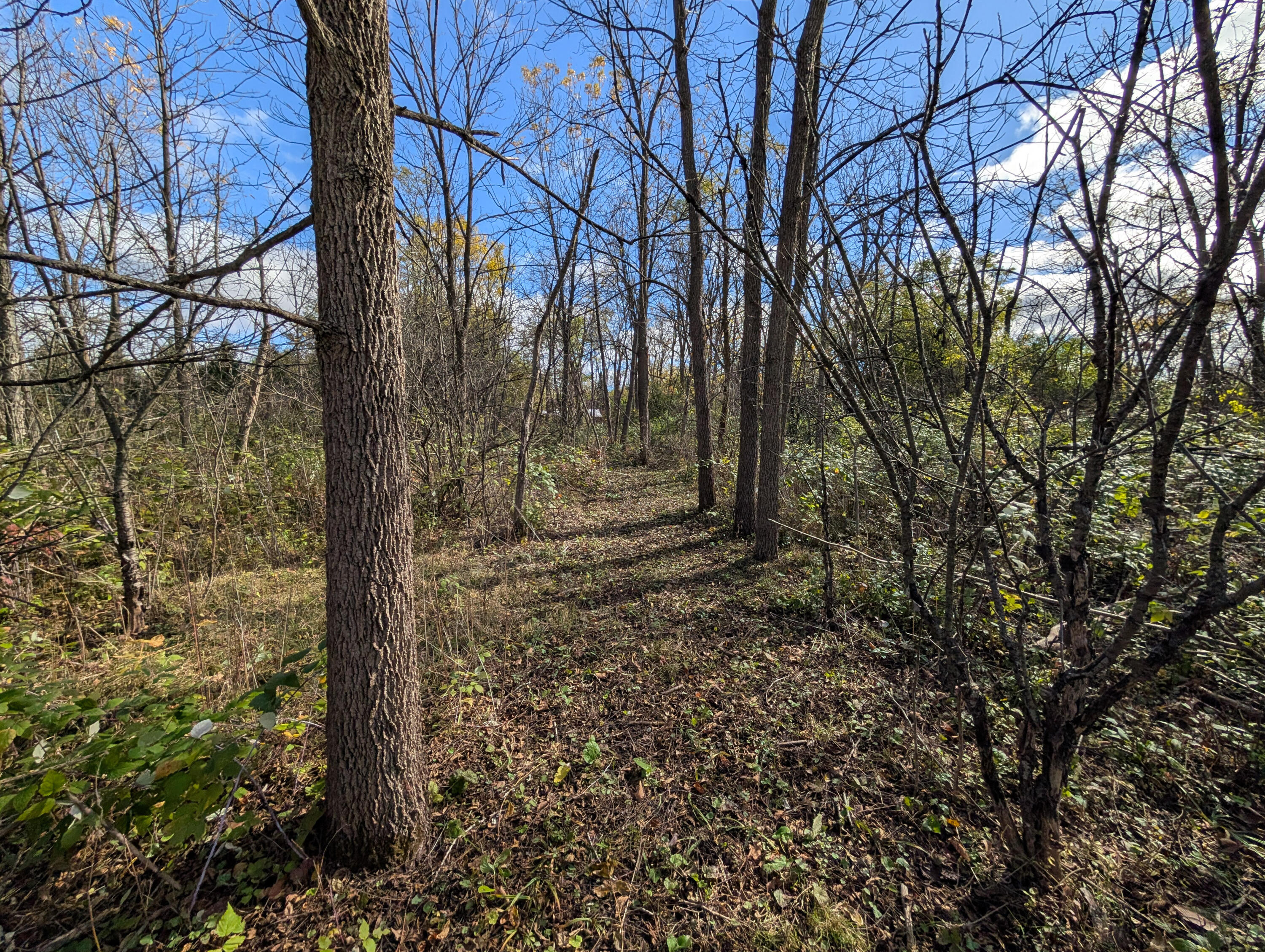 Lt2 West St Martins Road Franklin, WI 53132 - Photo 5 of 29 PXL_20251023_171157513