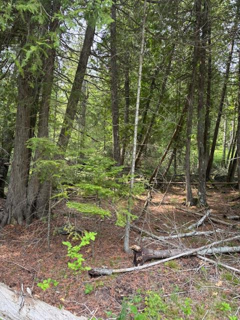 East Cana Island Road Baileys Harbor, WI 54202 - Photo 1 of 5