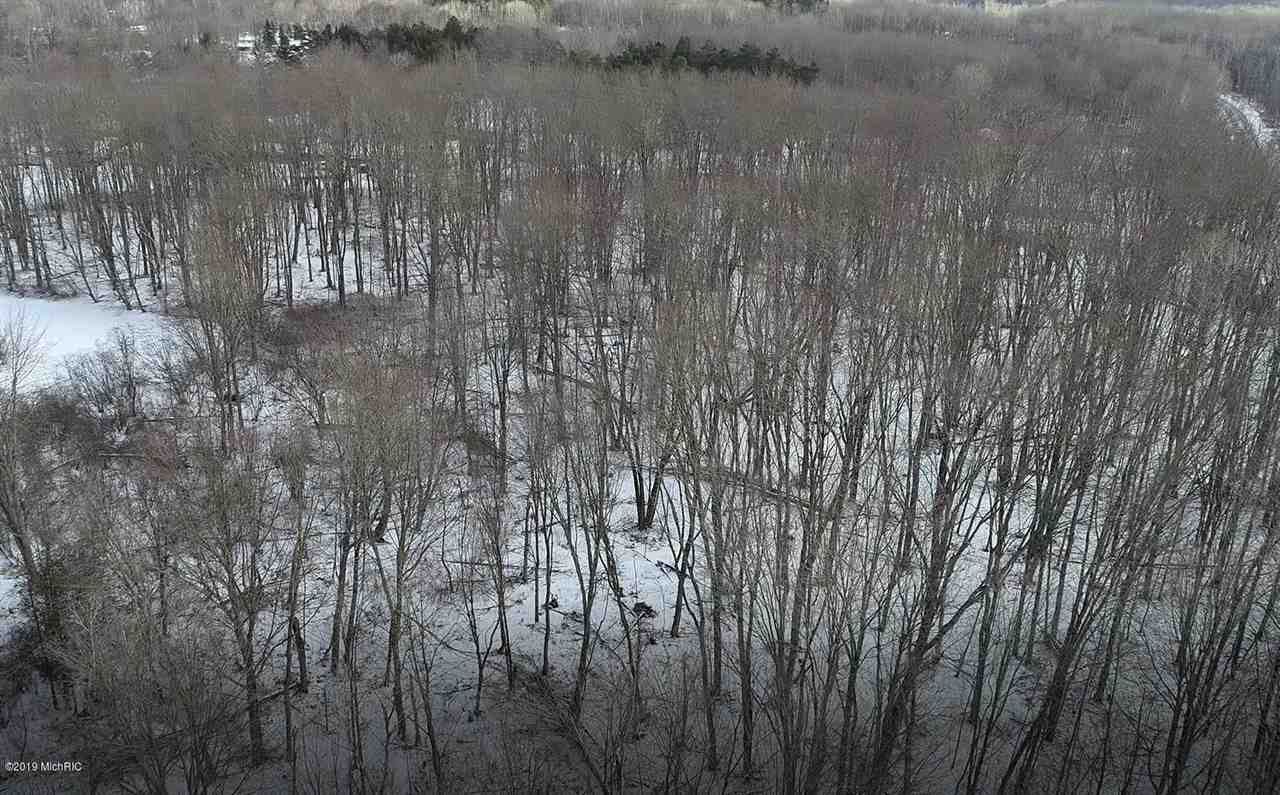 0 Madison Road Barryton, MI 49332 - Photo 8 of 11