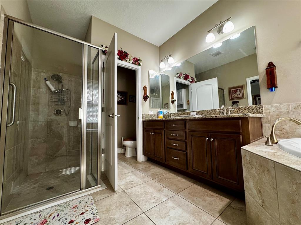 12419 Betony Court New Port Richey, FL 34654 - Photo 13 of 24 a bathroom with a granite countertop sink mirror and shower