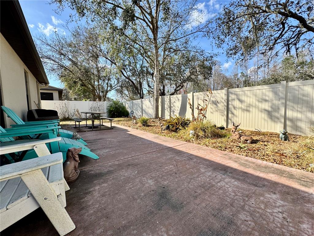12419 Betony Court New Port Richey, FL 34654 - Photo 20 of 24 a view of backyard of the house