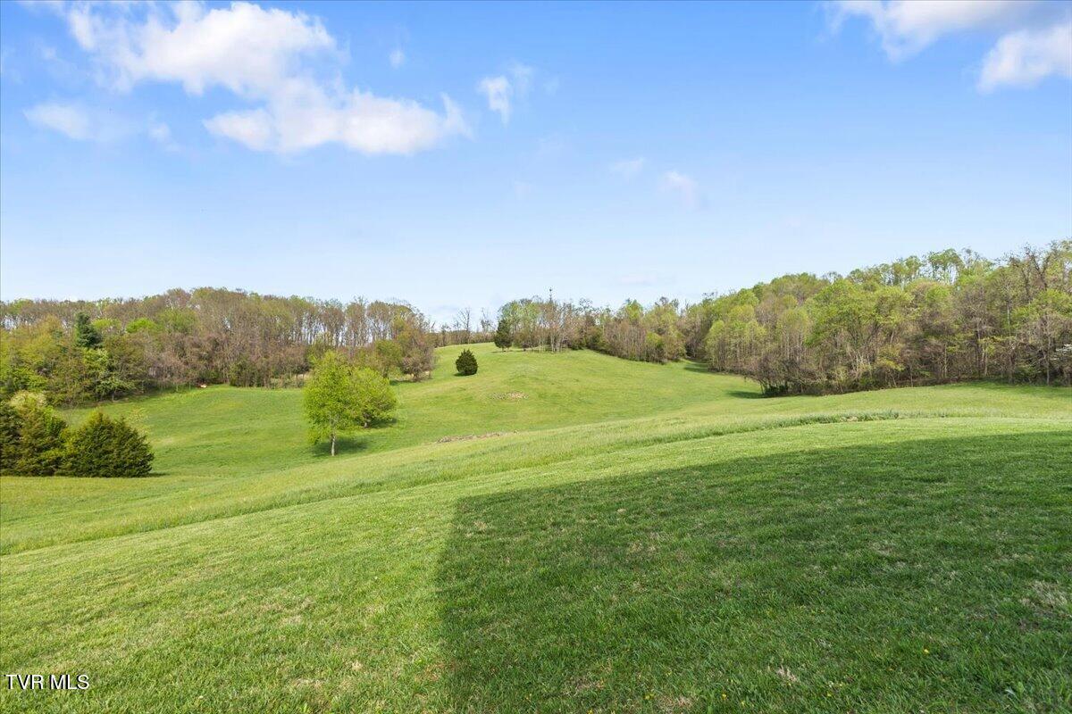 460 Lowell Jones Road Piney Flats, TN 37686 - Photo 72 of 91 70-128A0812