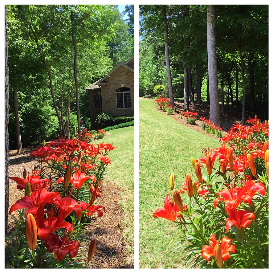 402 Boaters Row Fair Play, SC 29643 - Photo 48 of 50 Lush landscaping frames the exterior of this beautiful home, enhancing its natural charm.