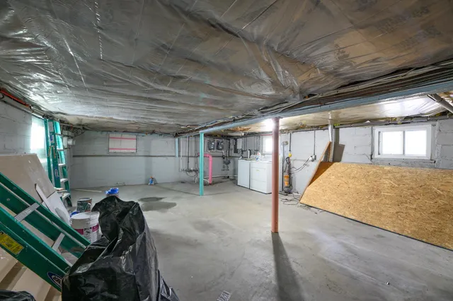 a view of a backyard with a large tree