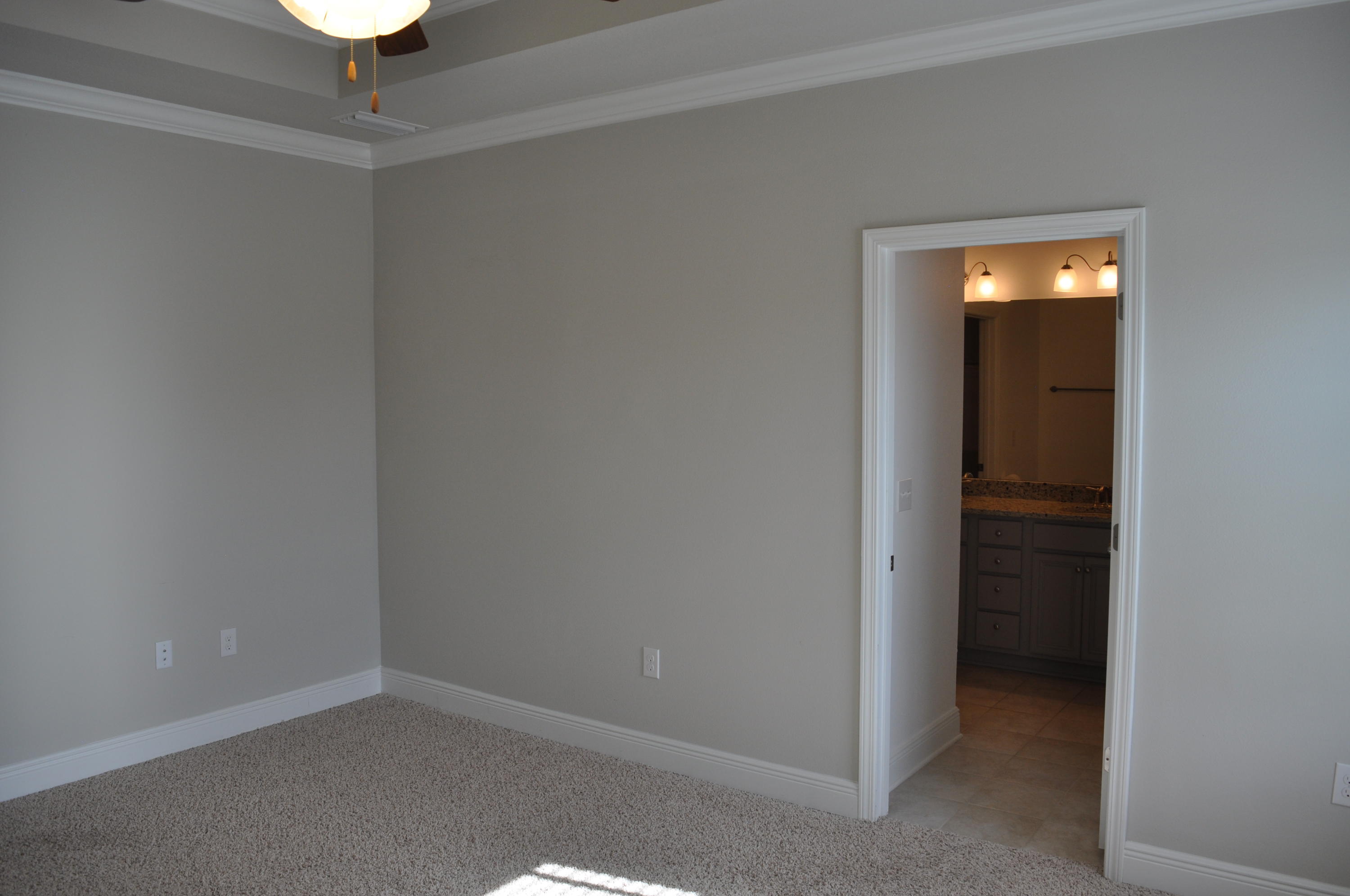 493 Cocobolo Drive Santa Rosa Beach, FL 32459 - Photo 15 of 18 an empty room with a bathroom