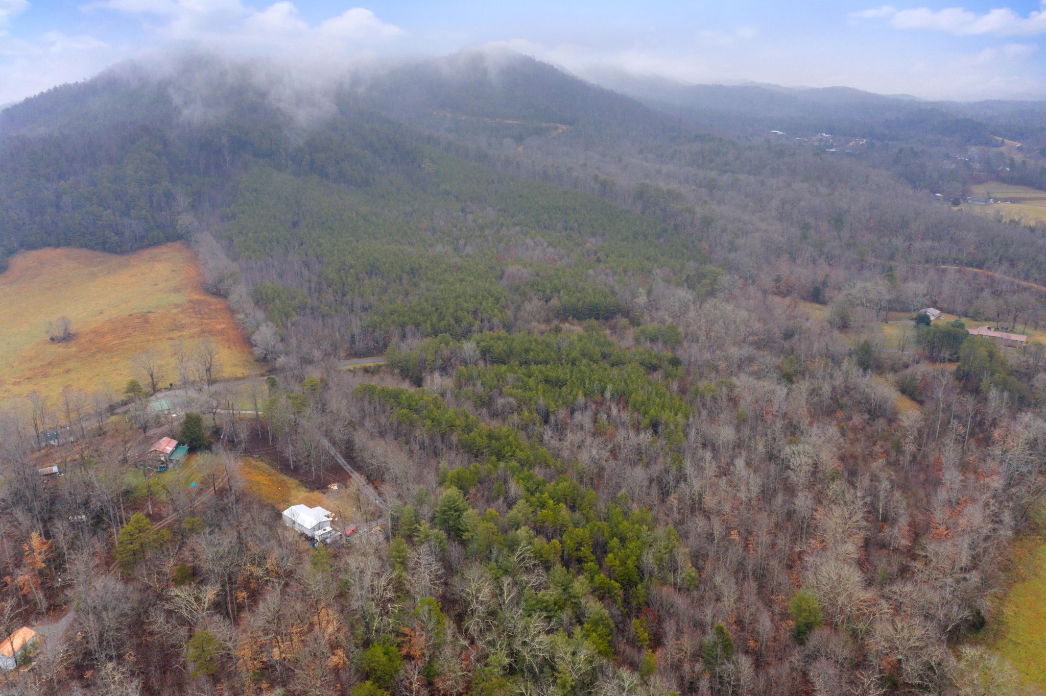 0 Baker Road Tellico Plains, TN 37385 - Photo 12 of 31 Gallery Image 12