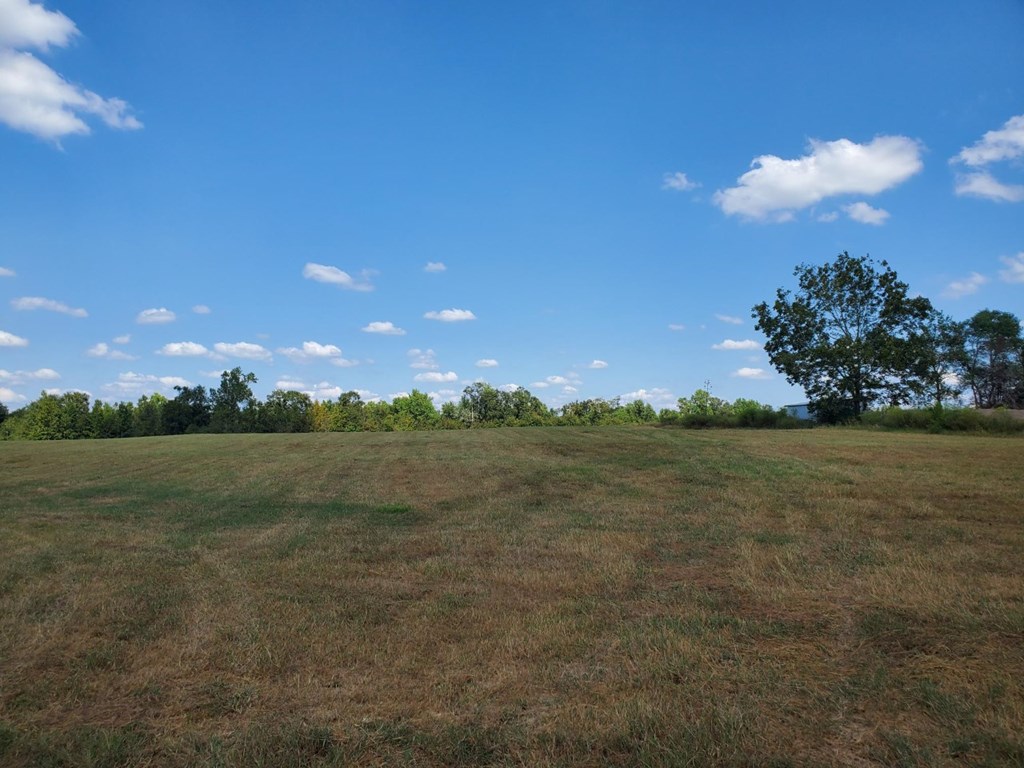 1243 Scott Road Slocomb, AL 36375 - Photo 2 of 10
