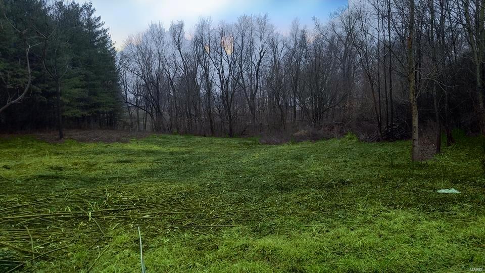 7614 Lebanon Road Collinsville, IL 62234 - Photo 2 of 2