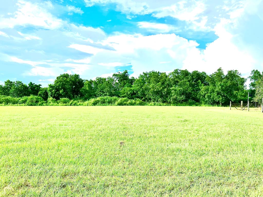 1601 Center Church Road Headland, AL 36345 - Photo 55 of 66 Gallery Image 55