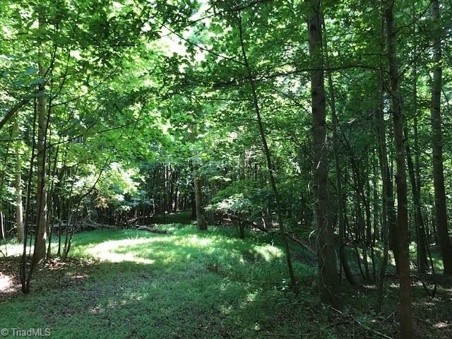 0 Marion Road Elkin, NC 28621 - Photo 11 of 13 Gallery Image 11