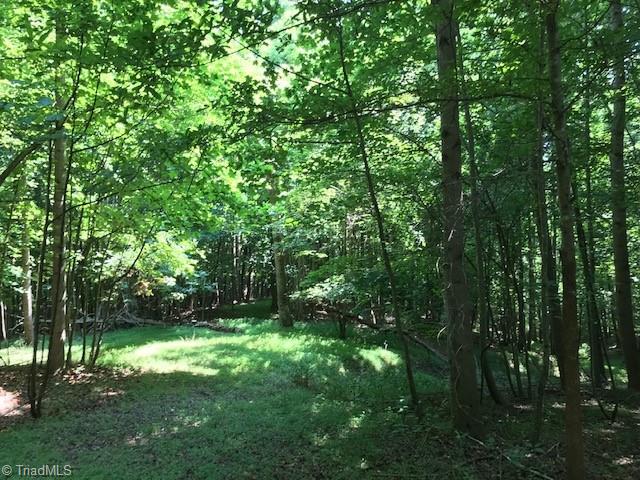 0 Marion Road Elkin, NC 28621 - Photo 12 of 13 Gallery Image 12