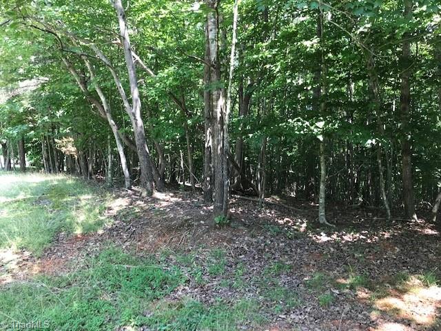 0 Marion Road Elkin, NC 28621 - Photo 3 of 13 Gallery Image 3