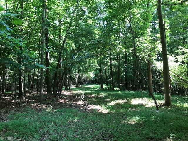 0 Marion Road Elkin, NC 28621 - Photo 5 of 13 Gallery Image 5